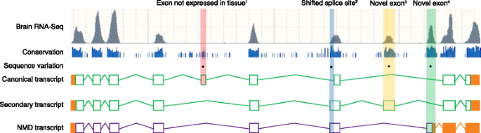 PDF) RNA-Seq analysis of Gtf2ird1 knockout epidermal tissue