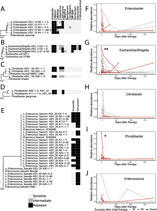 Probiotic markedly reduces S. aureus colonization in Phase 2 trial