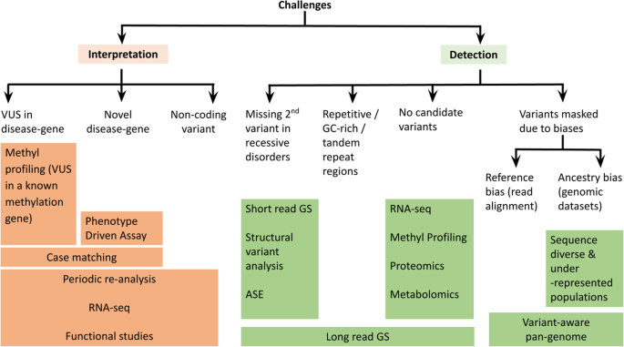 Transcriptomic signatures across human tissues identify functional rare  genetic variation