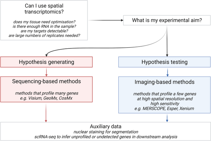 Spatially resolved transcriptomics: advances and applications