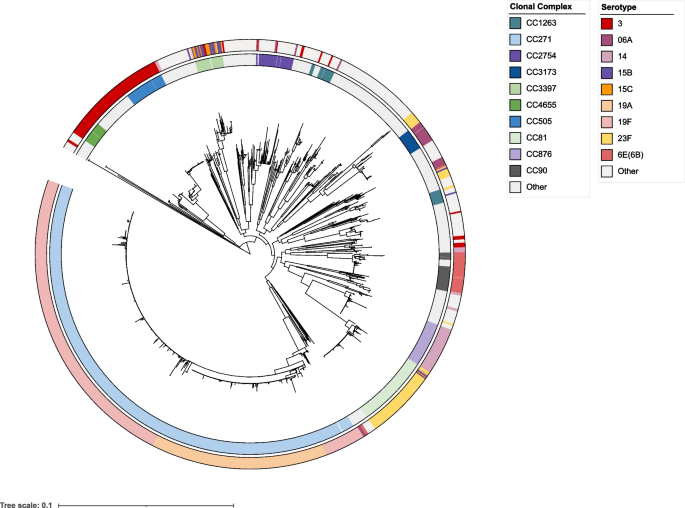 Maximum likelihood pandemic-scale phylogenetics