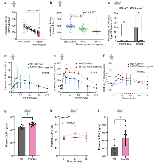 glp-1 gastric intestinal obstruction law office in michigan Severe Stomach Paralysis Linked to Popular GLP-1 Diabetes and Weight Loss  Drugs