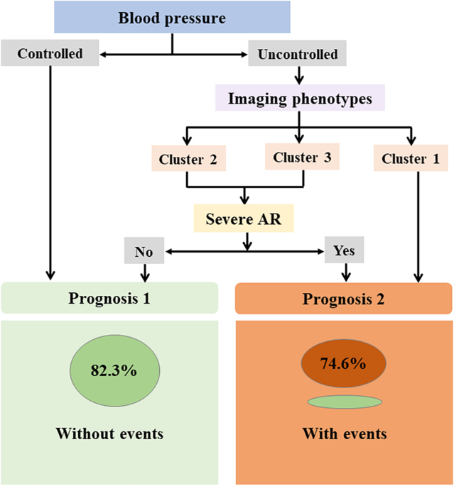 Clinical characteristics, imaging phenotypes and events free survival in  Takayasu arteritis patients with hypertension | Arthritis Research &  Therapy | Full Text