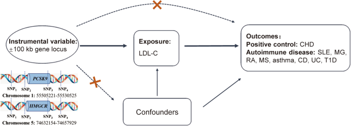 Causal relationship between PCSK9 inhibitor and autoimmune ...