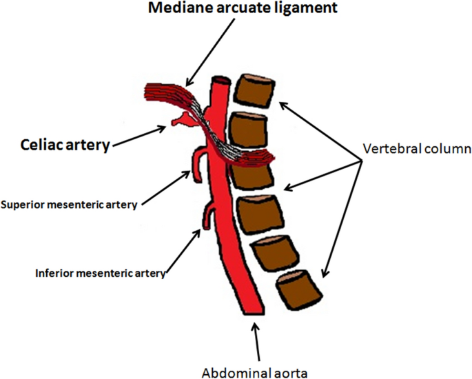 The role of ultrasound imaging in vascular compression syndromes