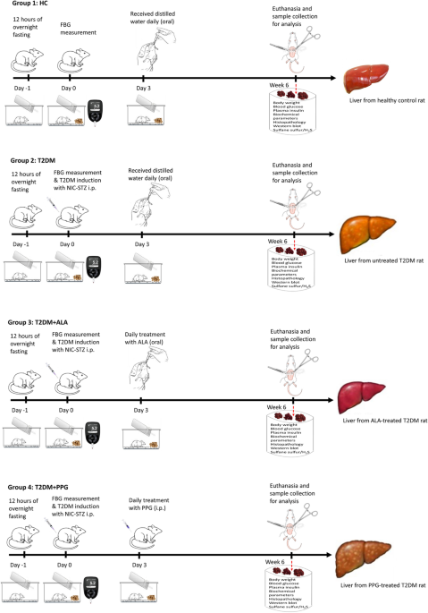 what is glutathione peptide used for 9 Health Benefits of Glutathione