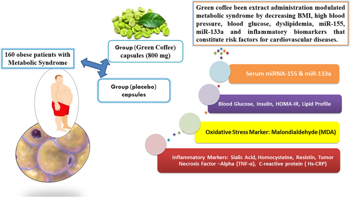Effect of green coffee on miR-133a, miR-155 and inflammatory biomarkers in  obese individuals | Diabetology & Metabolic Syndrome