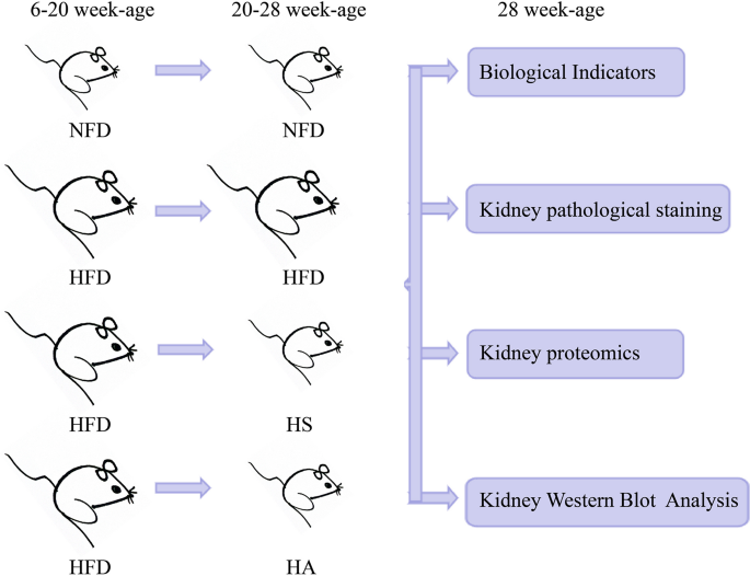 semaglutide gut microbiome The effect of semaglutide on gut microbiota in Chinese patients with t |  DMSO