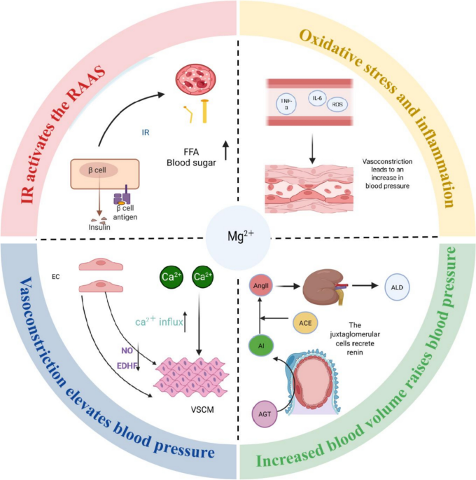 igf-1 lr3 1 mg IGF-1 LR3  Research Peptide