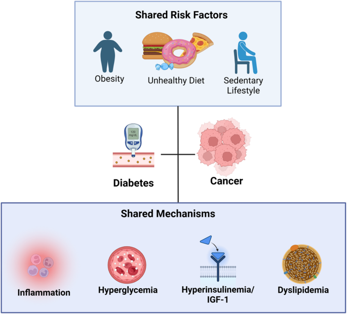 glp-1 the same as ozempic Semaglutide GLP-1 vs Ozempic vs Wegovy vs Mounjaro