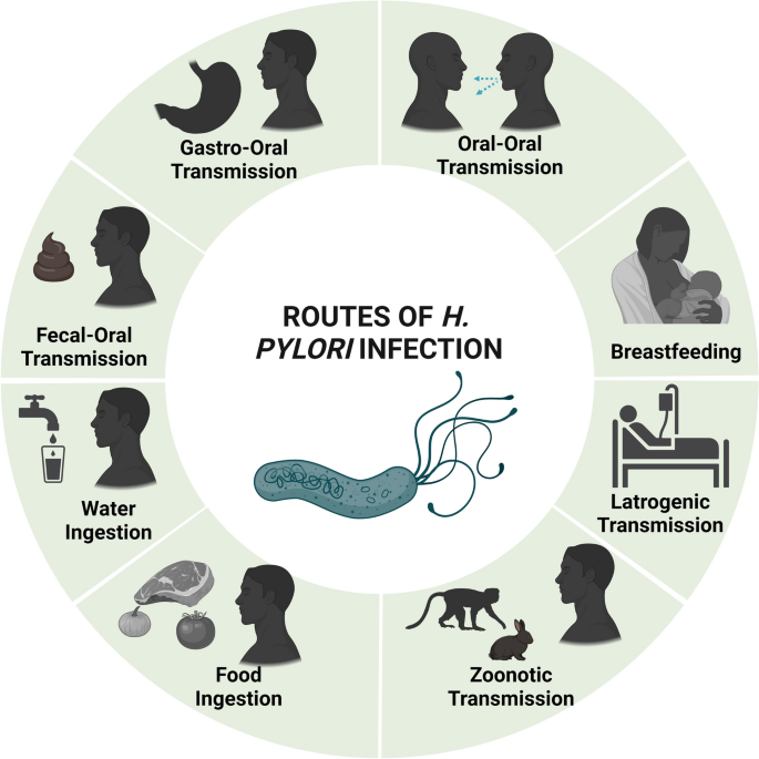 bpc 157 for h pylori Antibiotic resistance in Helicobacter pylori: a genetic and physiological  perspective | Gut Pathogens