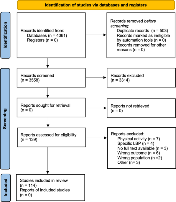 Sport and non-specific low back pain in athletes: a scoping review