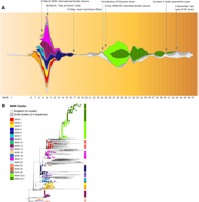 Documenting elimination of co-circulating COVID-19 clusters using genomics  in New South Wales, Australia, BMC Research Notes