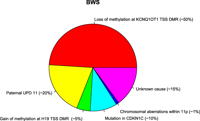 Beckwith-Wiedemann Syndrome - GeneReviews® - NCBI Bookshelf