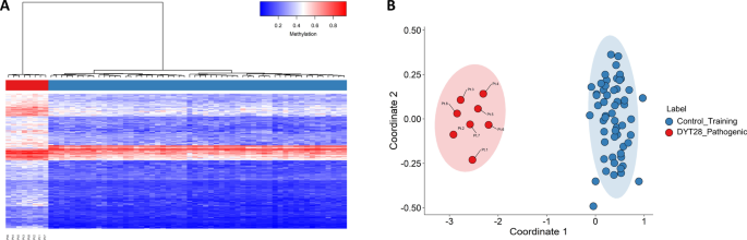 Expanding the phenotype associated to KMT2A variants: overlapping