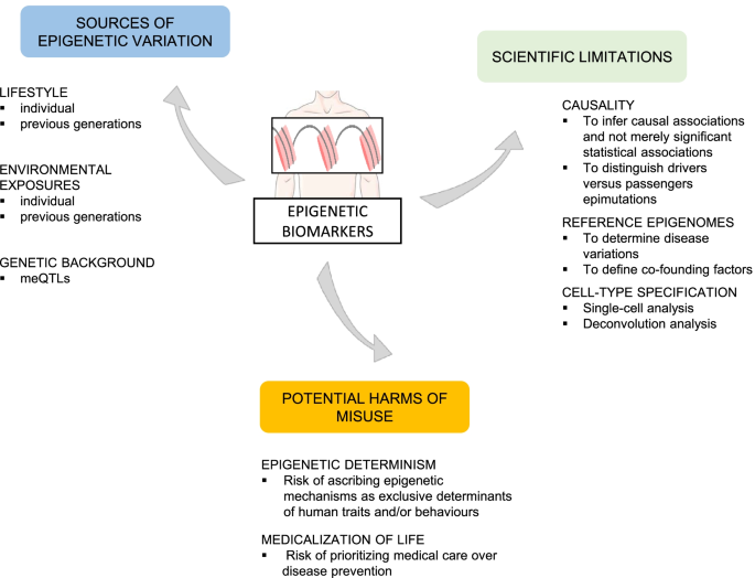 Lifestyle Medicine Analysed – Poorly