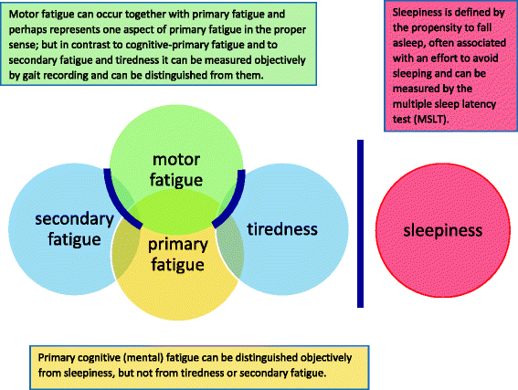 acetyl l carnitine ms fatigue The Berlin Treatment Algorithm: recommendations for tailored innovative therapeutic strategies for multiple sclerosis-related | EPMA Journal Targeting DNA Methylation in Ácidos grasos y omegas Quantity:25kg