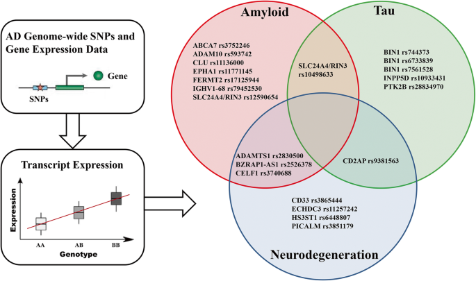 Associations of Alzheimer's disease risk variants with gene expression,  amyloidosis, tauopathy, and neurodegeneration | Alzheimer's Research &  Therapy | Full Text
