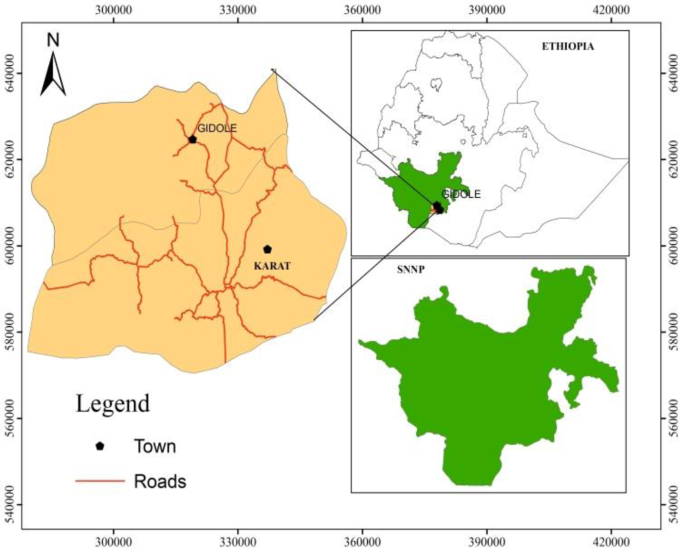 Probiotic potential of lactic acid bacteria isolated from Ethiopian traditional fermented Cheka beverage