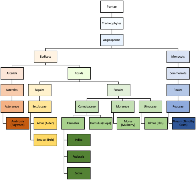 aacijournal.biomedcentral.com