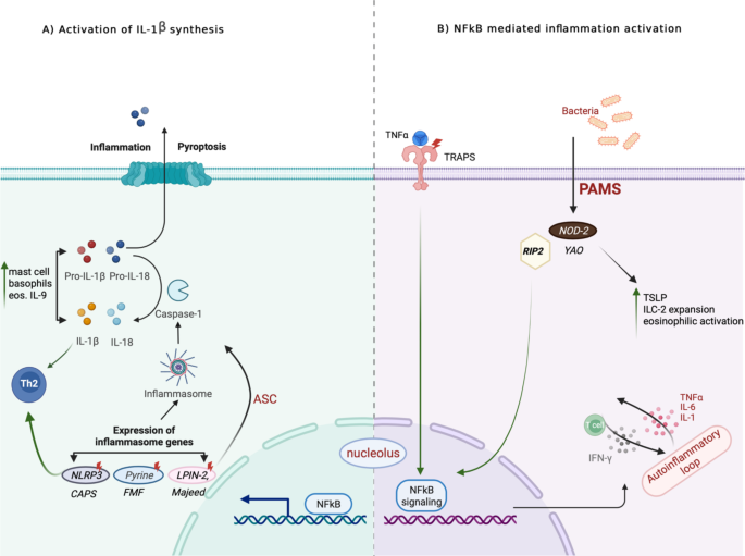 Autoinflammatory gene mutations associated with eosinophilia and asthma