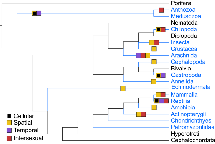 Where did spiders get their venom?, eLife Science Digests