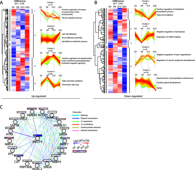 Niemann–Pick type C disease: cellular pathology and pharmacotherapy -  Wheeler - 2020 - Journal of Neurochemistry - Wiley Online Library