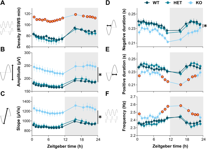 cjc-1295 ipamorelin effects on sleep slow-wave sleep Neuroligin-2 shapes individual slow waves during slow-wave sleep and the  response to sleep deprivation in mice | Molecular Autism
