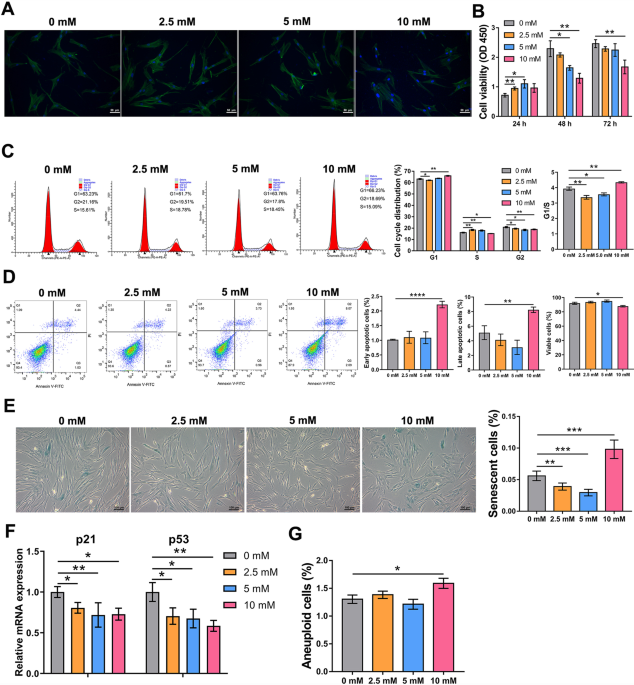 N-acetylcysteine regulates dental follicle stem cell osteogenesis and  alveolar bone repair via ROS scavenging | Stem Cell Research & Therapy