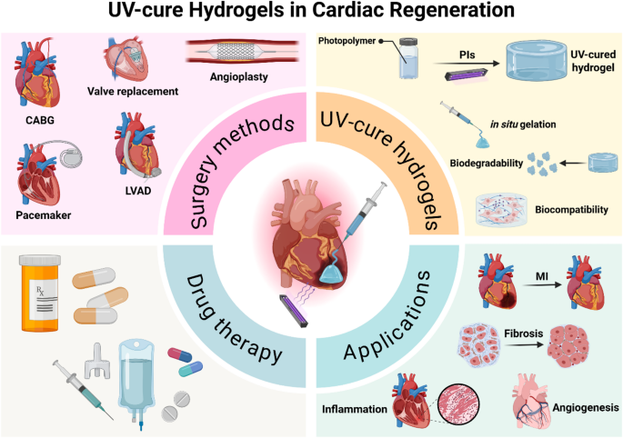 UV-cure hydrogels for cardiac regeneration: a comprehensive review | Stem Cell Research & Therapy | Springer Nature Link UV-cure hydrogels for cardiac regeneration: a comprehensive review | Stem Cell Research & Therapy | Springer Nature Link
