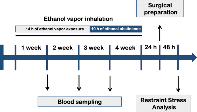 Chronic ethanol vapor exposure potentiates cardiovascular responses to  acute stress in male but not in female rats | Biology of Sex Differences |  Full Text