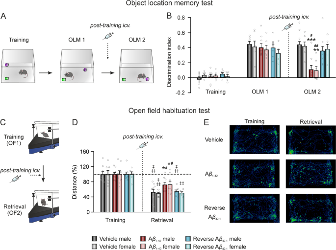 Search strategy analysis of Tg4-42 Alzheimer Mice in the Morris