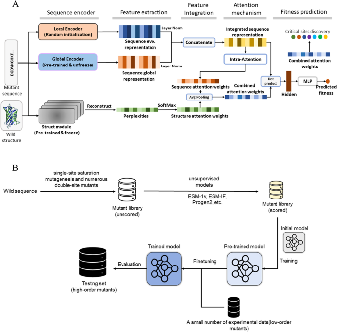 Protein Sequencing with Artificial Intelligence: Machine Learning