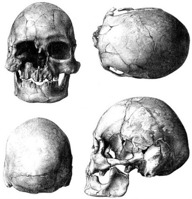 Skull and Bones, 1884, 1887, 1888, 1900, 1901, 1904 - Yale