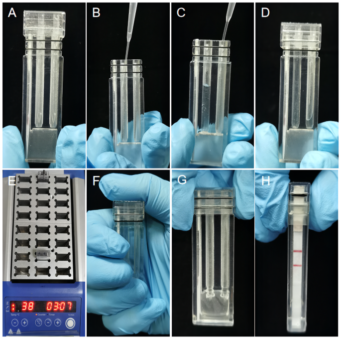Development of a novel integrated isothermal amplification system for detection of bacteria-spiked blood samples