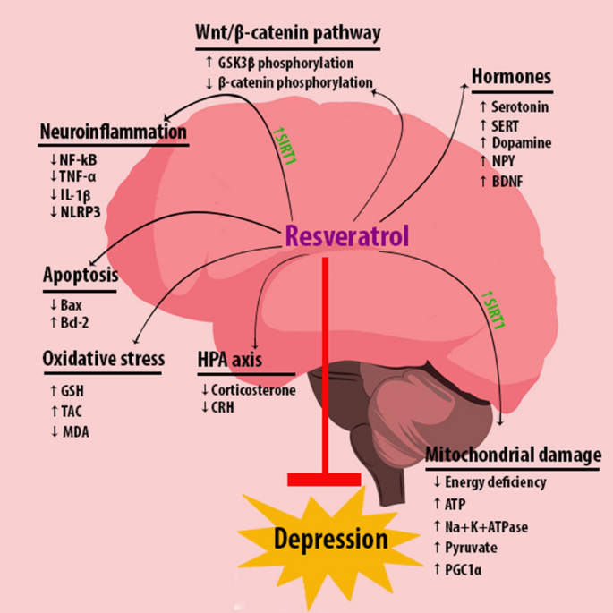 does glutathione affect alzheimer disease progression The link between amyloid β and ferroptosis pathway in Alzheimer's disease  progression