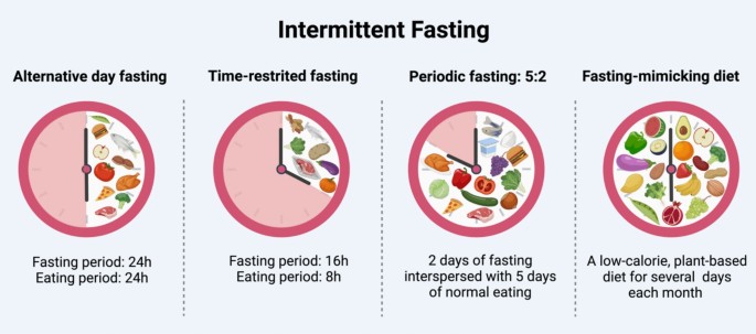 l carnitine and intermittent fasting Intermittent fasting and metabolic dysfunction-associated steatotic liver  disease: the potential role of the gut-liver axis | Cell & Bioscience