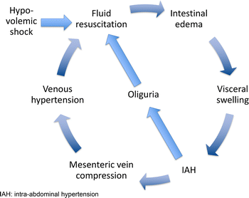 We should avoid the term “fluid overload”, Critical Care