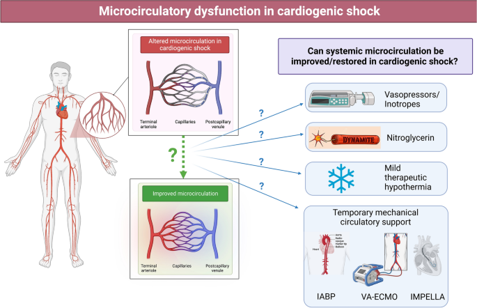 What does it mean to be intravascularly dry but extravascularly