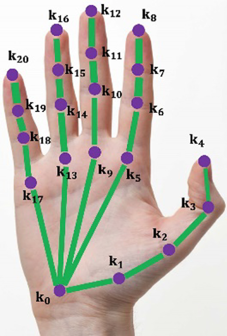 Hand pose estimation based on improved NSRM network | EURASIP Journal on  Advances in Signal Processing | Full Text