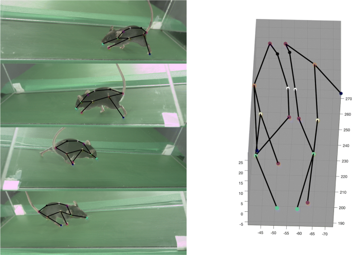 Improved 3D Markerless Mouse Pose Estimation Using Temporal  Semi-supervision