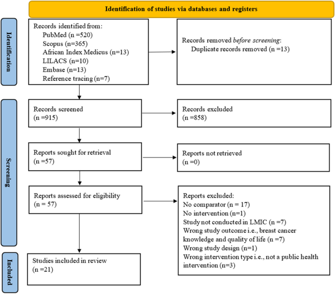 A systematic review of public health interventions to address breast cancer inequalities in low- and middle-income countries