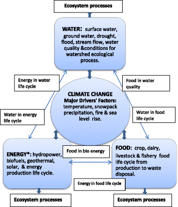 Opening up' the governance of water-energy-food nexus: Towards a