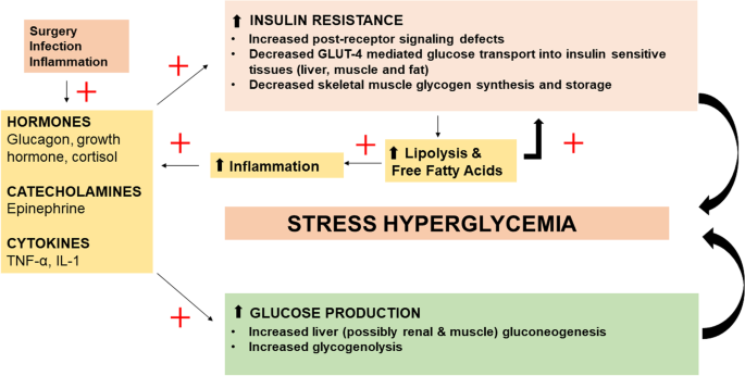 Type 1 diabetes glycemic management: Insulin therapy, glucose