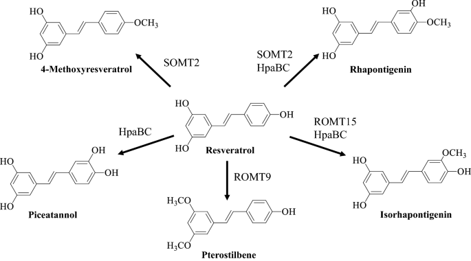 Biosynthesis of resveratrol derivatives and evaluation of their  anti-inflammatory activity | Applied Biological Chemistry | Full Text