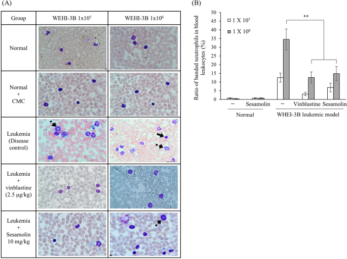 PDF) Ex vivo model exhibits protective effects of sesamin against