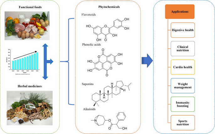From nature to nutrition: exploring the synergistic benefits of functional  foods and herbal medicines for holistic health | Applied Biological  Chemistry