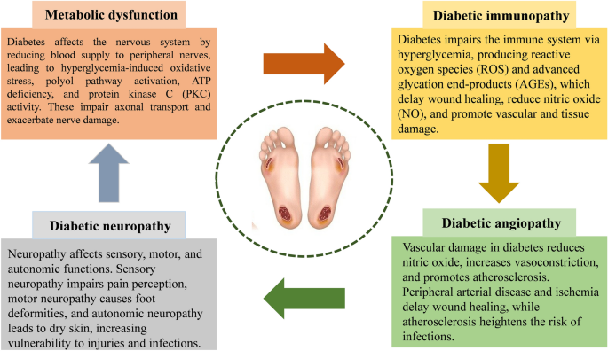Natural products in the treatment of diabetic foot infection | European Journal of Medical Research | Springer Nature Link Natural products in the treatment of diabetic foot infection | European Journal of Medical Research | Springer Nature Link