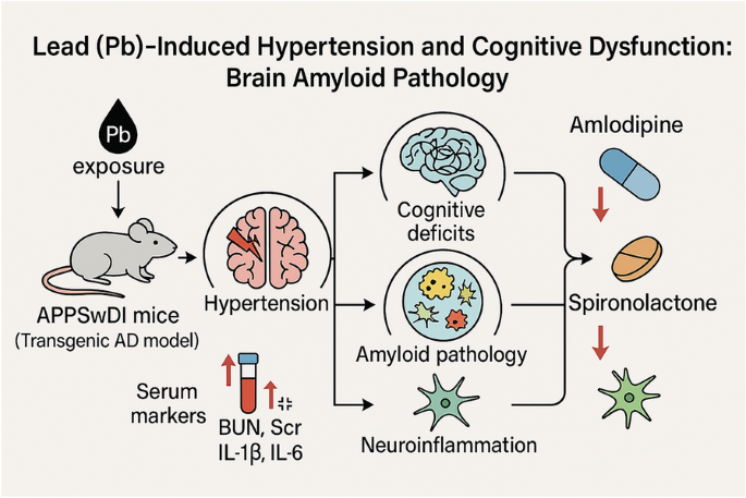 glutathione effects on hypertension Lead-induced and cognitive dysfunction: brain amyloid pathology | European Journal of Medical Research Now Foods GLUTATHIONE 500mg discountcollection:a Size:150 Mls