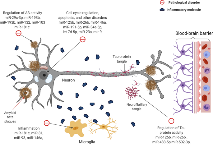 PDF) Blood Biomarkers of Alzheimer's Disease and Cognition: A Literature  Review.